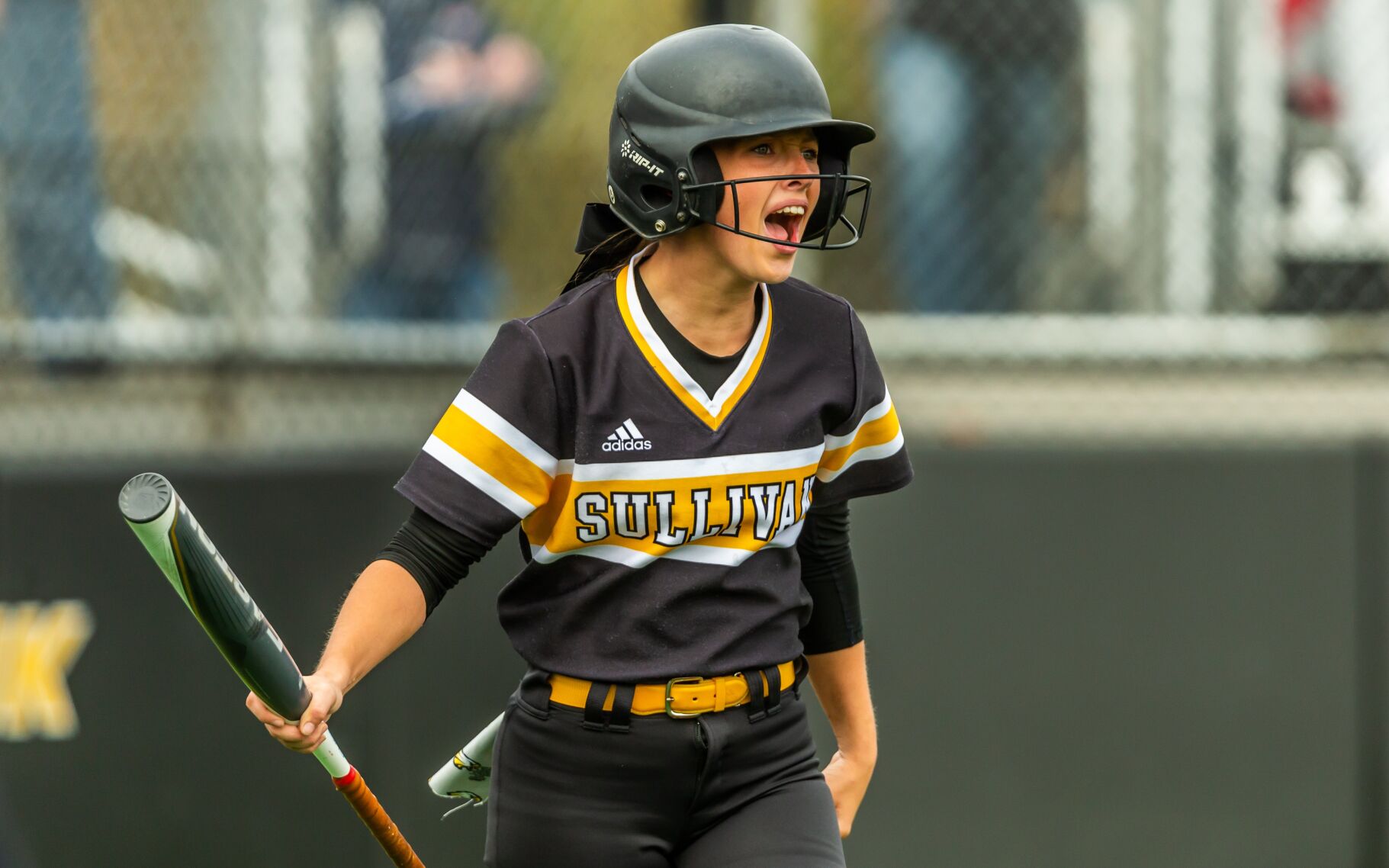 Sullivan vs. Bowling Green softball